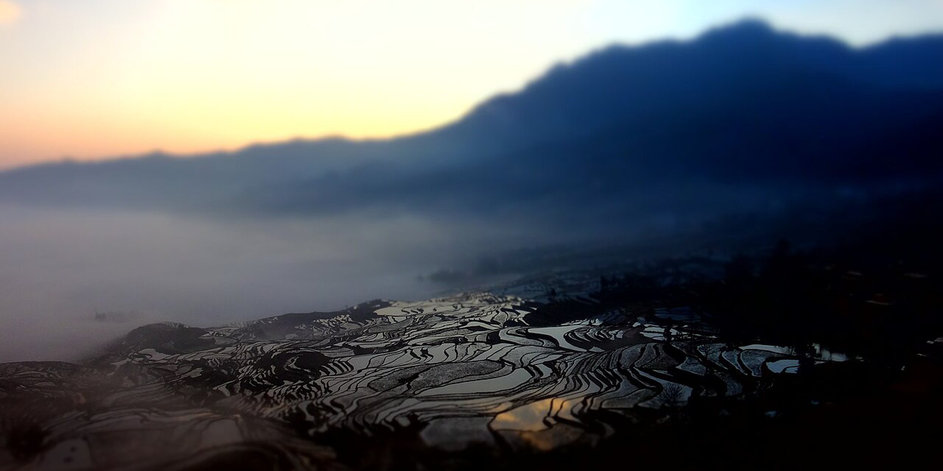 Yuanyang Hani terraces at sunrise above a sea of clouds